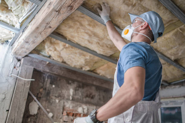 Best Insulation for New Construction  in Sundance, WY