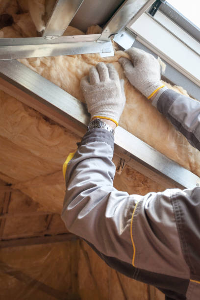 Best Cellulose Insulation  in Sundance, WY