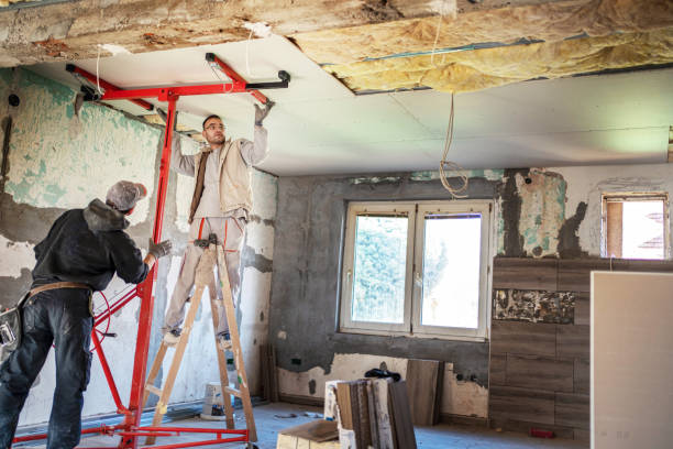 Best Insulation Removal  in Sundance, WY