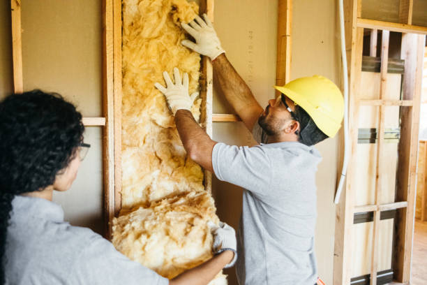 Professional Insulation Contractor in Sundance, WY