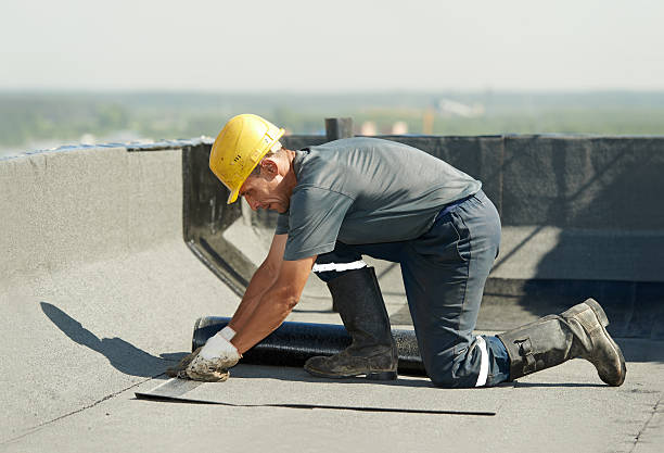 Best Attic Insulation Installation  in Sundance, WY