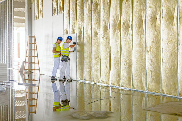 Best Professional Insulation Contractor  in Sundance, WY